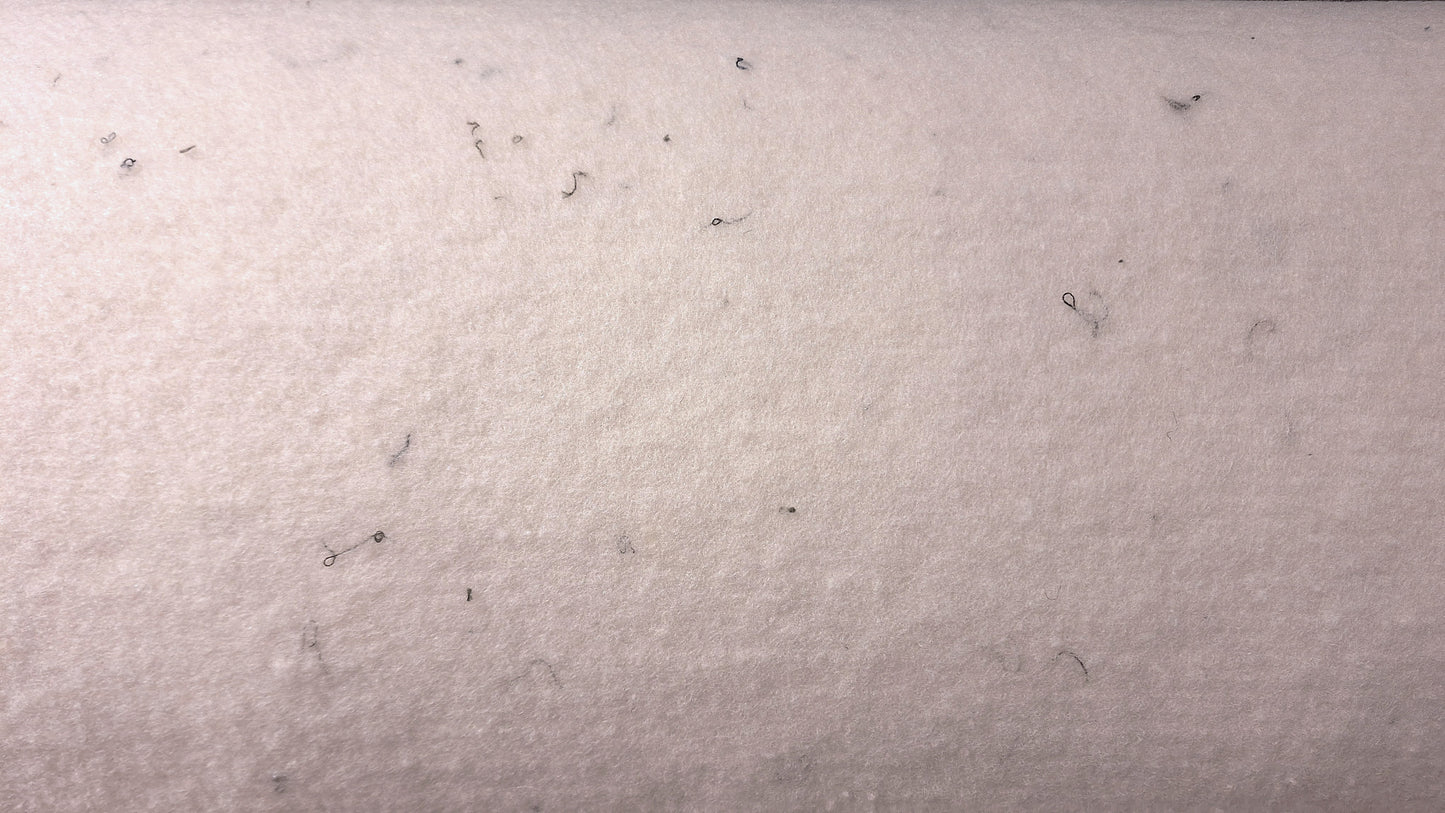WOLVLIES WOLWIT | 3 mm | 1,6x25m | 200 gr/m2