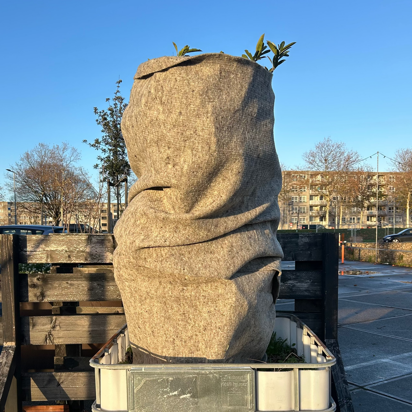 WOL. TUINMAT 350 gr/m2 | 1 x 5 m