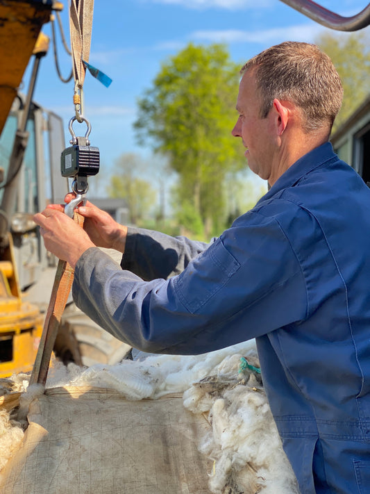 Wol beschikbaar maken: de lessons learned uit de inkoop van Nederlandse wol