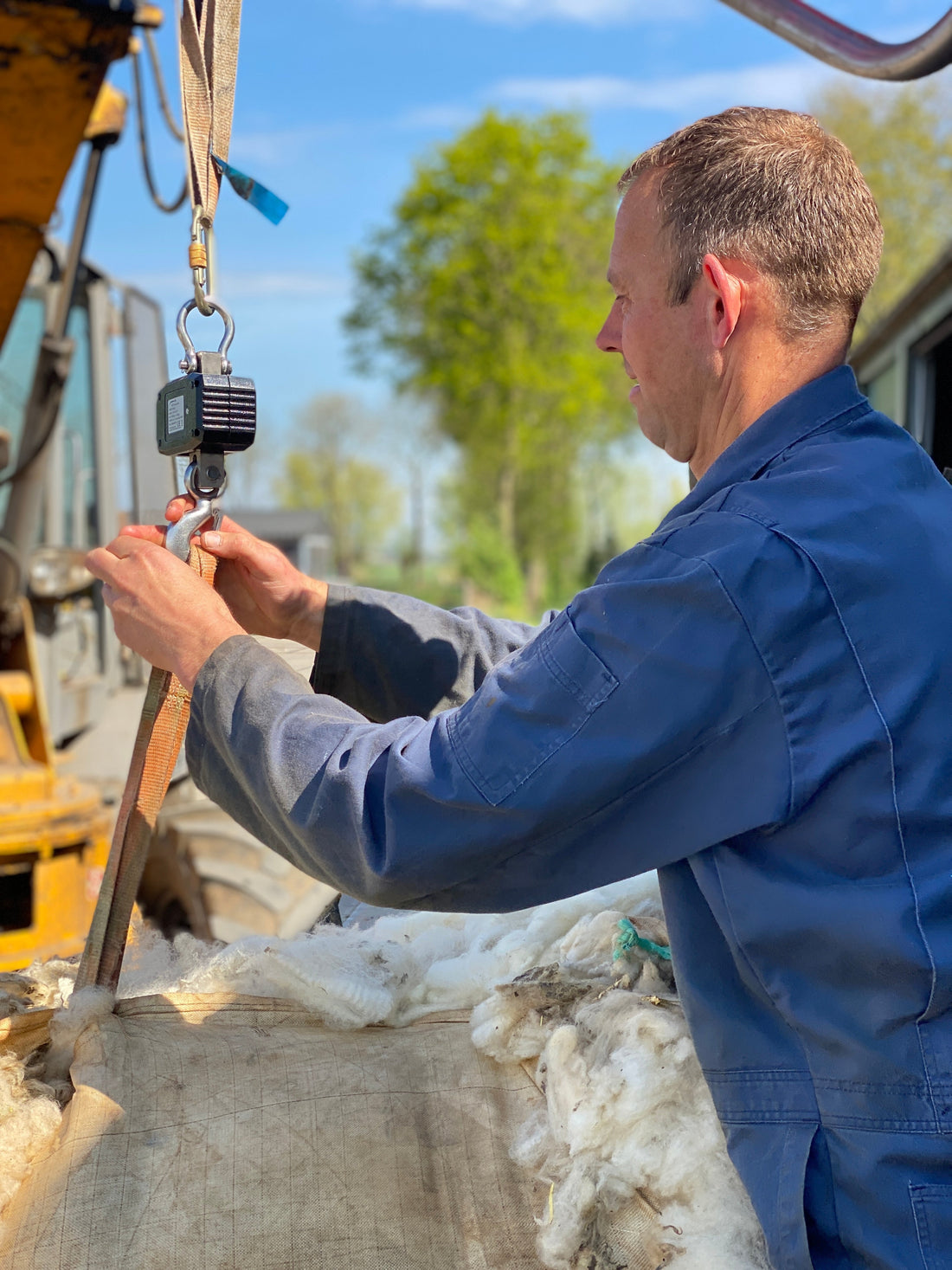 Wol beschikbaar maken: de lessons learned uit de inkoop van Nederlandse wol