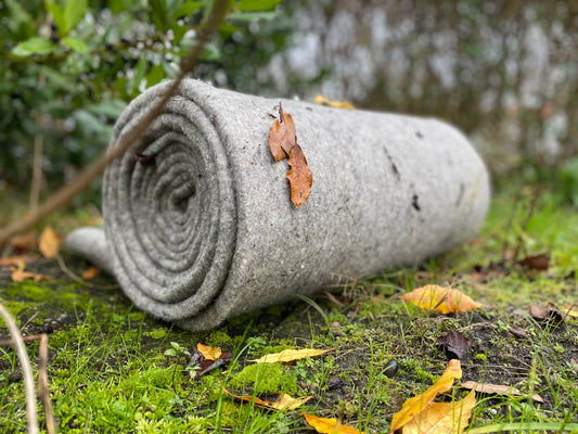 Schapenwol in je tuin: veelzijdig, milieuvriendelijk en biologisch afbreekbaar