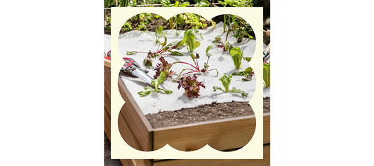 Waarom is WOL.GEOTEXTIEL ideaal voor in de tuinsector?