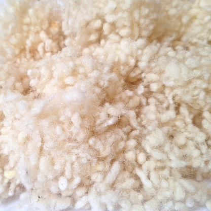 WOL. BALLETJES baal 60 kg | Kruidenwit