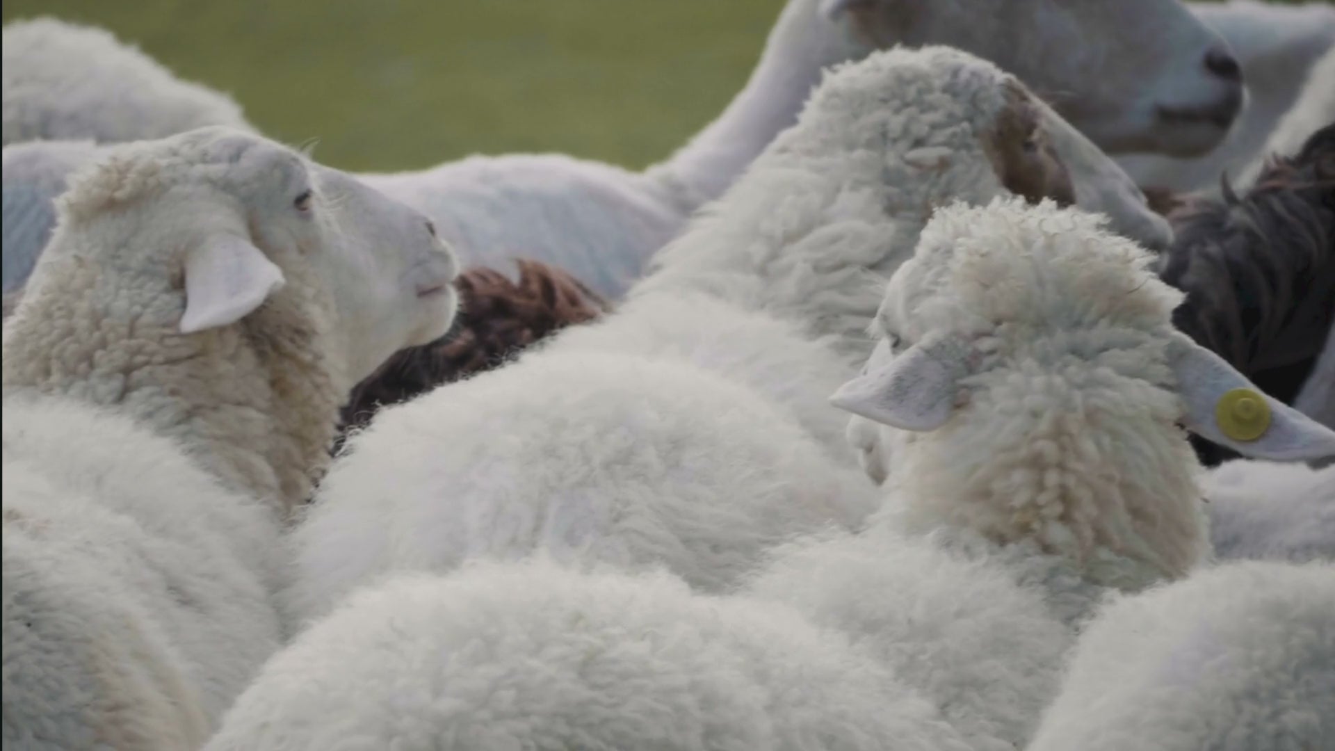 Video laden: 
